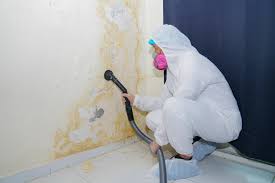 Best Asbestos and Lead Testing During Mold Inspection in Mono Vista, CA